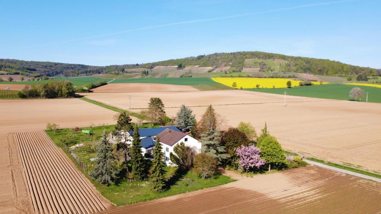 Rosenhof